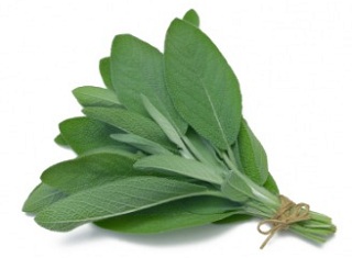 Sage