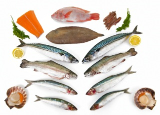 Healthy Fish