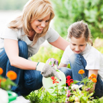 The Importance Of Great Role Models And Where To Find Them