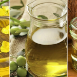 Canola Oil Vs Olive And Coconut Oil