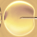 Choosing Egg Donation When All Else Fails